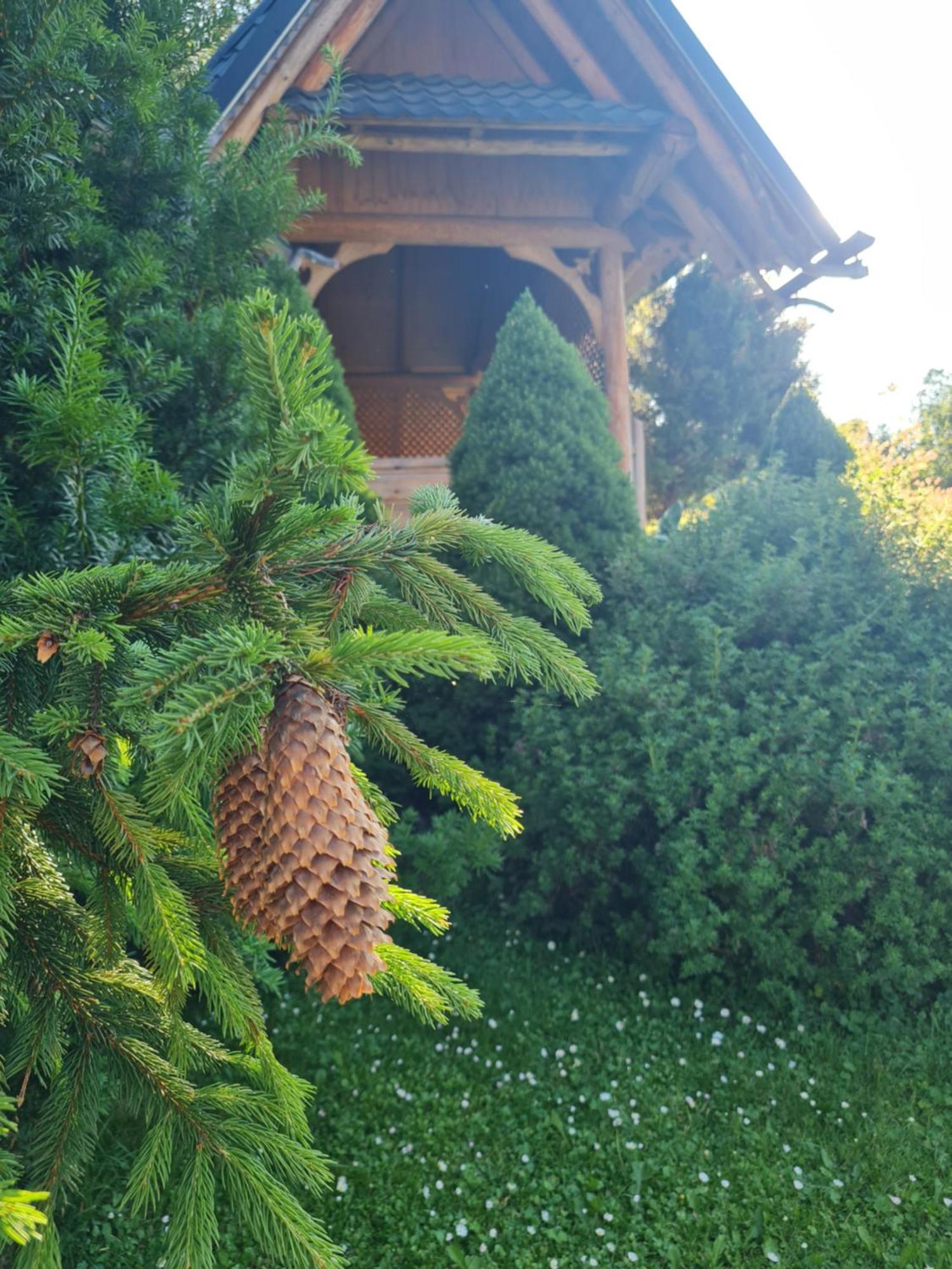 Apartamenty Przy Srodkowej 53 Bialka Tatrzanska Exterior foto